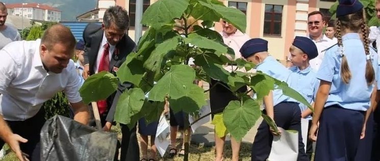 Олег Бойченко принял участие в высадке новых деревьев в одной из школ на Аллее доблести и Славы МВД